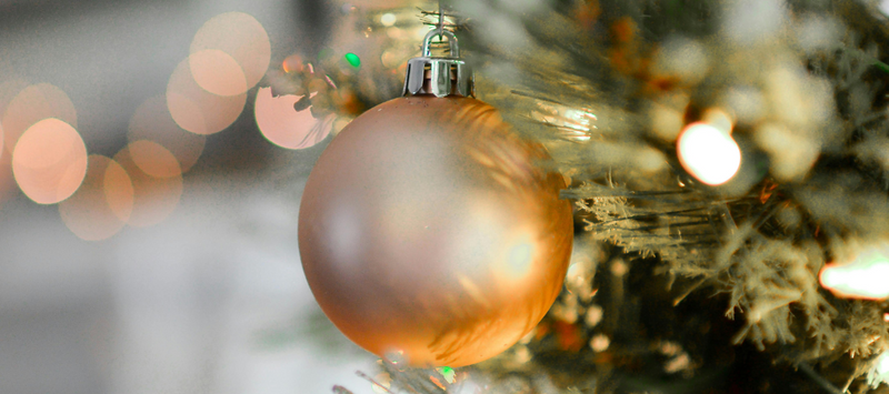 Offrez des souvenirs éternels sous le sapin
