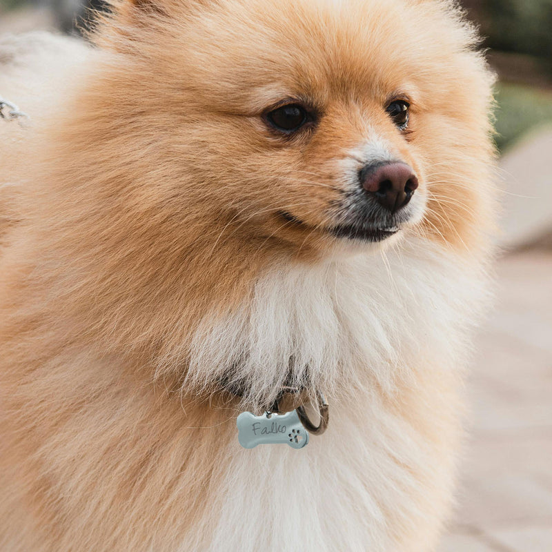 Personnalisez la médaille chien en forme d'os, en acier inoxydable argent, mesurant 40mm x 20mm.