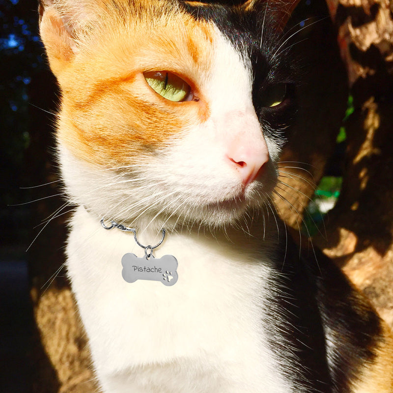 Avec ses dimensions de 40mm x 20mm, la médaille chat en forme d'os et en acier inoxydable argent est entièrement personnalisable