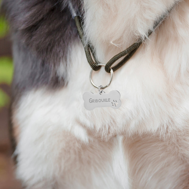 Médaille pour chien personnalisée, en forme d'os de dimension 40mm x 20mm, en acier inoxydable argent