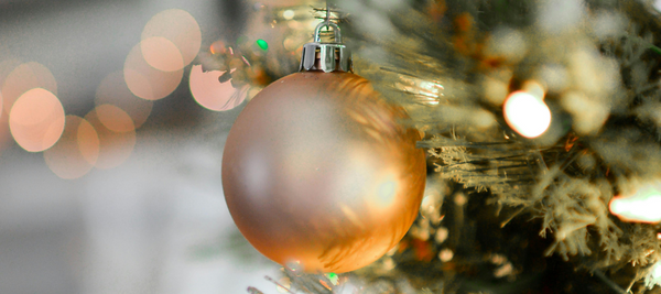Offrez des souvenirs éternels sous le sapin