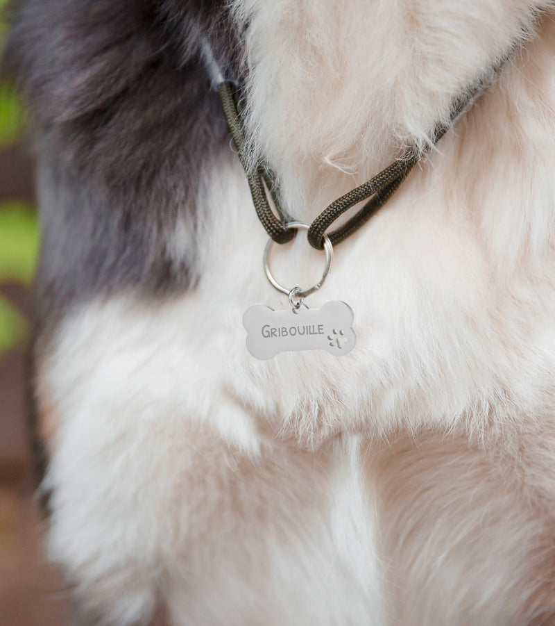  Médaille pour chien personnalisée, en forme d'os de dimension 40mm x 20mm, en acier inoxydable argent