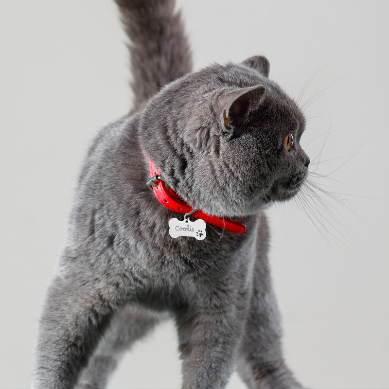 Médaille chat personnalisée en acier inoxydable argent en forme d'os, mesurant 40mm x 20mm